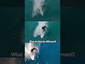 Late Tafe-Offs | Barrel Entry