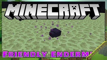 FriendlyEndermite Mod 1.16.5/1.15.2/1.12.2 & How To Download and Install for Minecraft