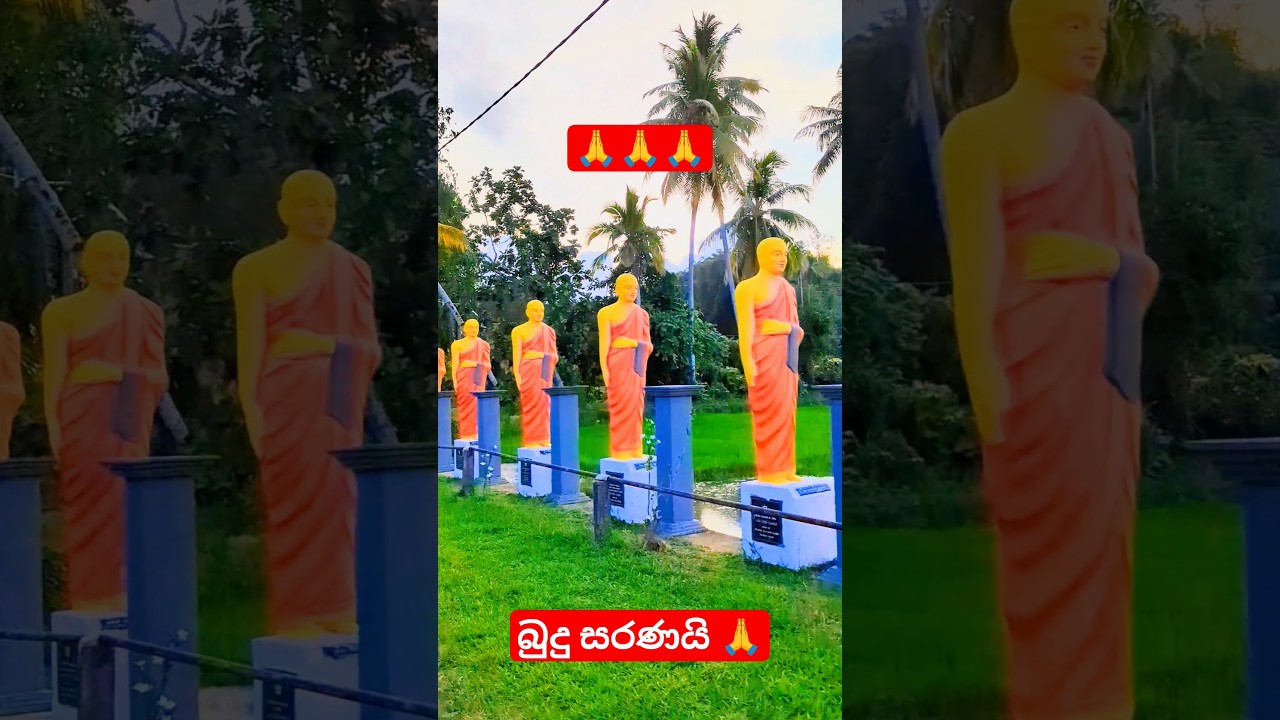 #trending #viral #srilanka #buddha #buddhism #shorts #trendingshorts #travel #downsouth #බුදු_සරණයි