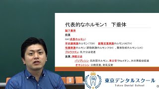 ホルモン　８分で分かる国家試験対策のための生理学