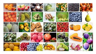 100+ Names of Fruits in English | Fruits Name English Learning | Popular Fruits of the World