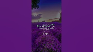 📖سورة الحجر 🎙️طارق محمد