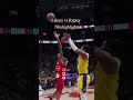 Lakers vs Raptor#nba #sports #highlights