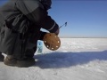 В разведку на ледовую целину (озеро Аткуль, март 2017).