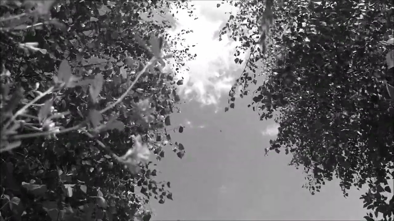 s_y_ - Прогулка с велосипедом