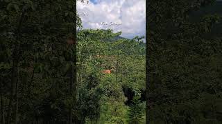 In The Name Of God I Step