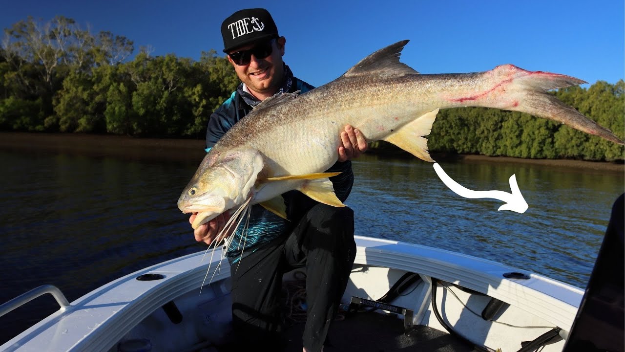 To Big For The Net Threadfin Salmon Brisbane YouTube