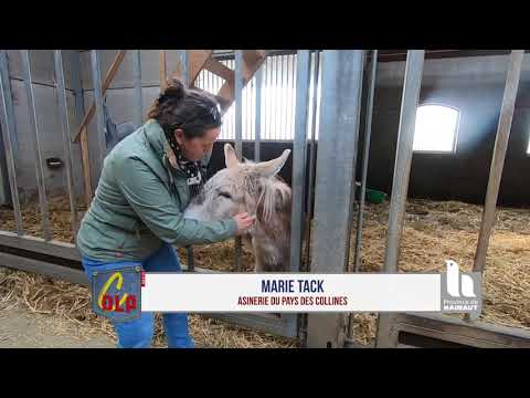 Vidéo: Où est le pays des collines au Texas ?