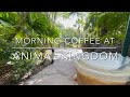 Morning Coffee at Disney’s Animal Kingdom | A Tree of Life Secret