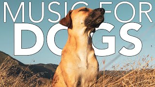 MUSIC FOR DOGS | Sounds to Relax Anxious and Hyper Dogs  440,00hz Freq!