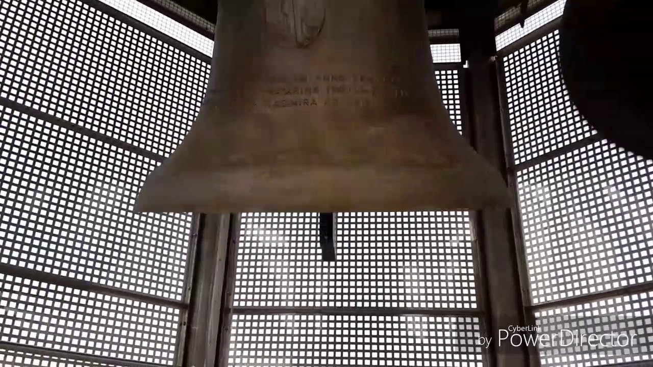 Zvonenje iz zvonika župne crkve Svete Jelene Križarice Šenkovec