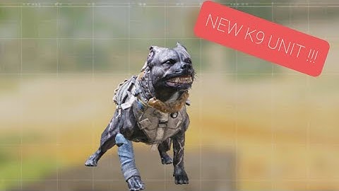 New K9 Unit Operator Skill Gameplay in COD Mobile (Test Server)