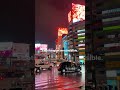 Tokyo Feels Like A Simulation