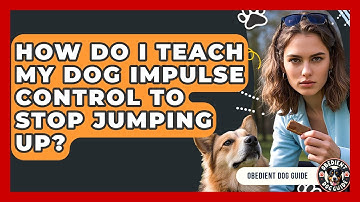 How Do I Teach My Dog Impulse Control To Stop Jumping Up? - Obedient Dog Guide
