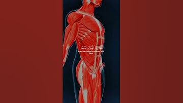 سورة المؤمنون راحة نفسية قراءة هادءة بصوت جميل 😩