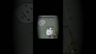 Разумные Микробы #Shorts