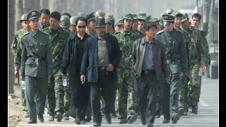 2025/08/23周六直播：台湾馆长入驻抖音，党国恩赐百万傻逼；普京即将赶赴北京，乌克兰会半路袭杀还是趁机偷家？