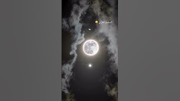تلاوة هادئة 😍 و مريحة سورة الفجر #القرآن_الكريم