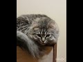 #когда #ухожу #из #дома