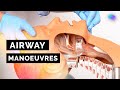 Airway manoeuvres bls  headtilt  chinlift  jaw thrust  abcde emergency  osce guide