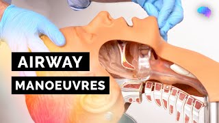 Airway Manoeuvres (BLS) | Head-Tilt & Chin-Lift | Jaw Thrust | ABCDE Emergency | OSCE Guide