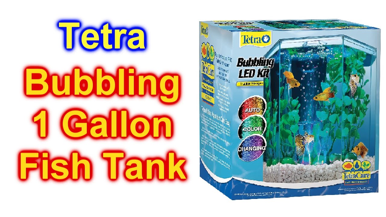 Tank Setup!  How to Set Up the Tetra 3 Gallon Halfmoon Aquarium 