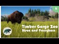 Timber Gorge - Episode 8 - Bison and Pronghorn | Planet Zoo