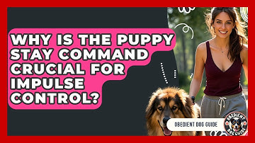 Why Is The Puppy Stay Command Crucial For Impulse Control? - Obedient Dog Guide