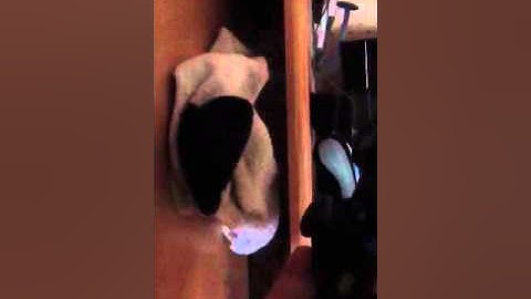 Review For the Datel Wildfire Evo Wireless Controller