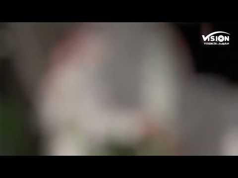 وارفع الخفاق الاخضر ١١ مارس يوم اعتلاء رايه العز والافتخار بالهوية الوطنية قناة الرؤية 