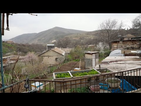 Video: Հարավ-արևմտյան կոնտեյներային այգեգործություն. անապատներում բանջարեղենի աճեցում