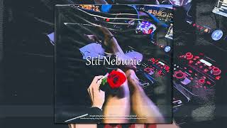 [BASS BOOSTED] Berechet ❌ @MirunaDiaconescu - Stil Nebunie (Romina VTM OST)