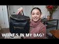 WHAT'S IN MY BAG 2021 | What's in my purse? | Fawn Design Backpack