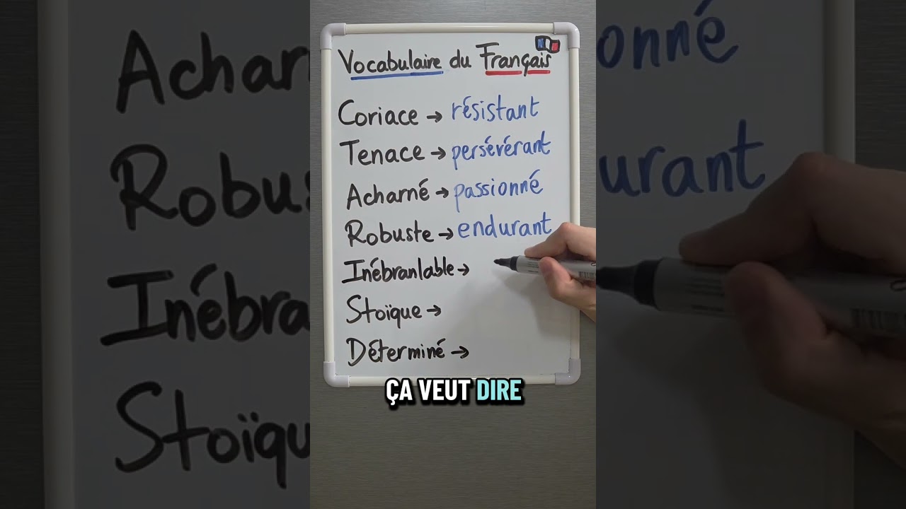 Tu connais ces adjectifs français niveau B2-C1 ? 🇫🇷