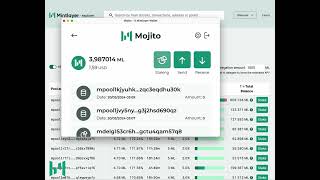 How to Stake your ML Tokens with Mojito Wallet Browser Extension