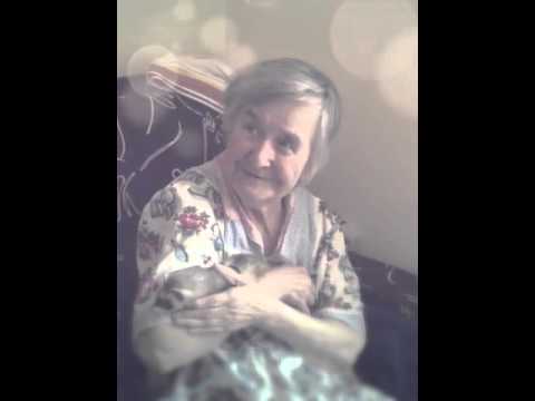 Хорьки в пансионате сети Опека Приморский, август 2015