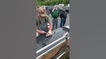Tony Is The Fastest In The Business! #oregon #fishing #pnw #fillet #filleting #fast #superfast