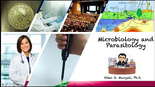 Vad är skillnaden mellan mikrobiologi och parasitologi