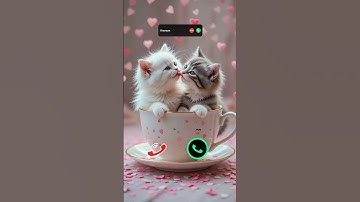 cat is calling #ringtone #smartphone #music #ringtones #song #iphone #cat #funnycallringto #callm