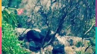 Aravali Hills Teekli Nature Paani Baras Jaaye Status Romantic Status