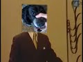 Beatbox Dog Sings Trololo