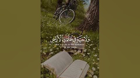 محمد صديق المنشاوي سورة الأنعام Muhammad Siddiq Al Minshawi Surat Al An'am