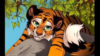 Anime Wolves & Cats~ Heroes