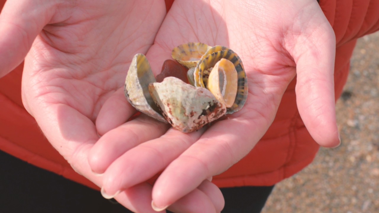 Soar Mill Cove - The Beach