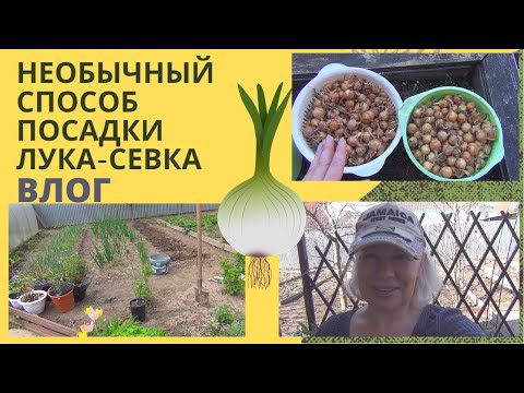 ✅ВЛОГ✅Необычный способ посадки