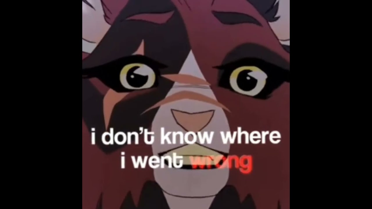 Wojownicy Klonowy Cie 