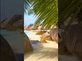#travel #summer #hawaii #viral #italy #vacation #travelguide #eyekon #tiktok #viralvideo