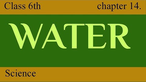 Water | Full Chapter | Class 6 Science | NCERT Science | Class 6 Chapter 14