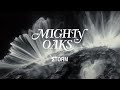 Mighty oaks  storm official music