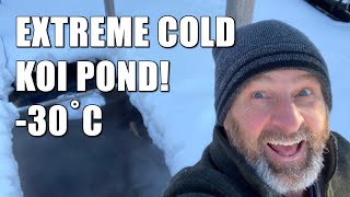 EXTREME COLD KOI POND  Koi survival in very cold conditions!